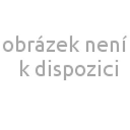 Obrázek pro produkt Respiratory mask NTF BOX 1000 kusů- L - EcoEVO Pro FFP3